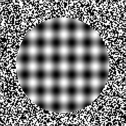 optical-illusions-24.jpg