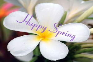 Love Spring