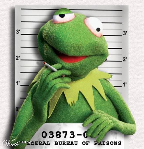 Kermit The Frog strung out, broke and addicted to pain pills. The