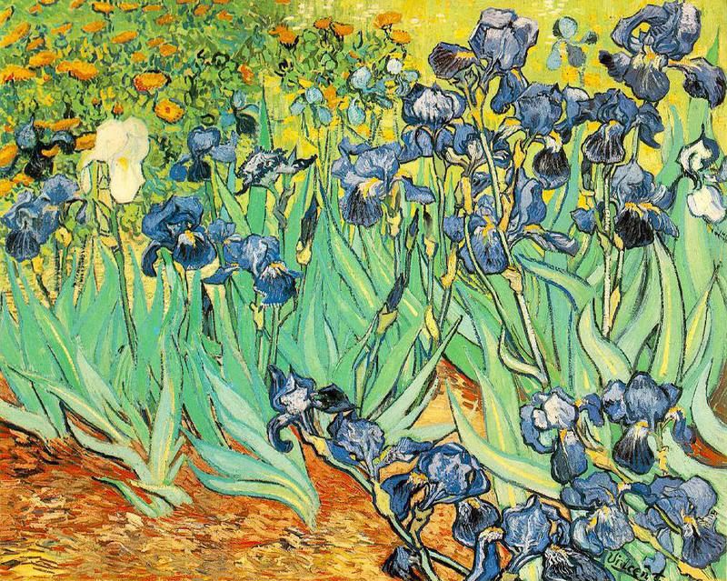  photo Van_gogh_irises.jpg