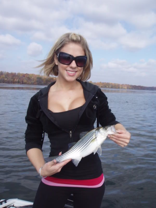 susquehanna flats fishing trip Forums