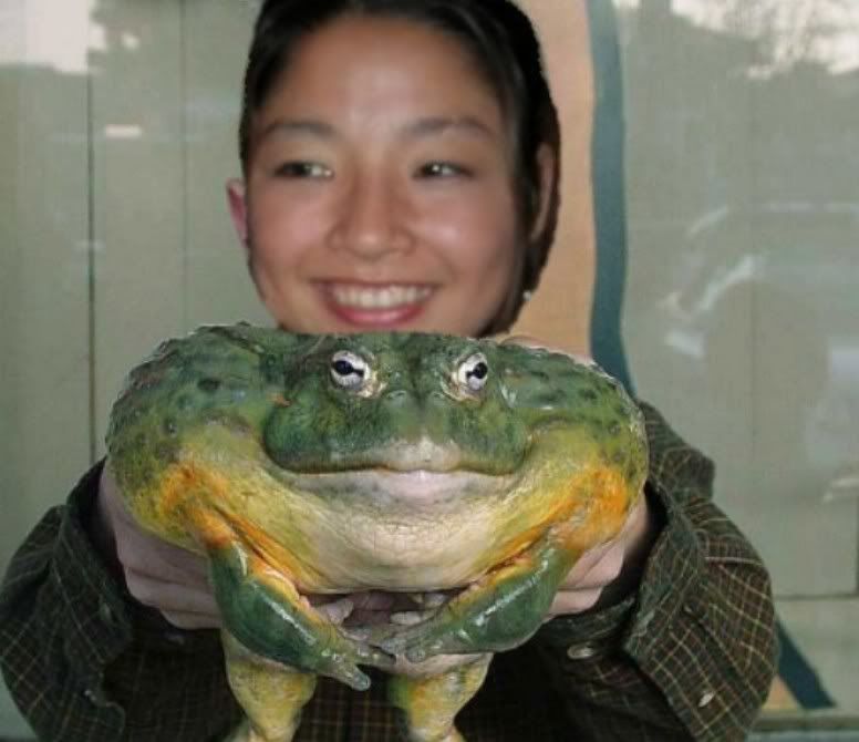 frogsterhold-1.jpg