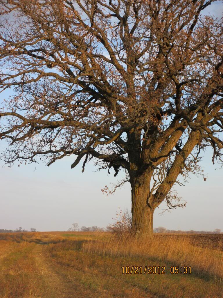 Deerhunting2012010.jpg