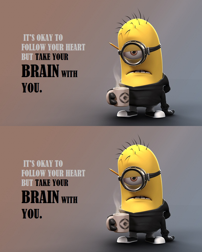  photo your brain_zpsf5divzr1.png