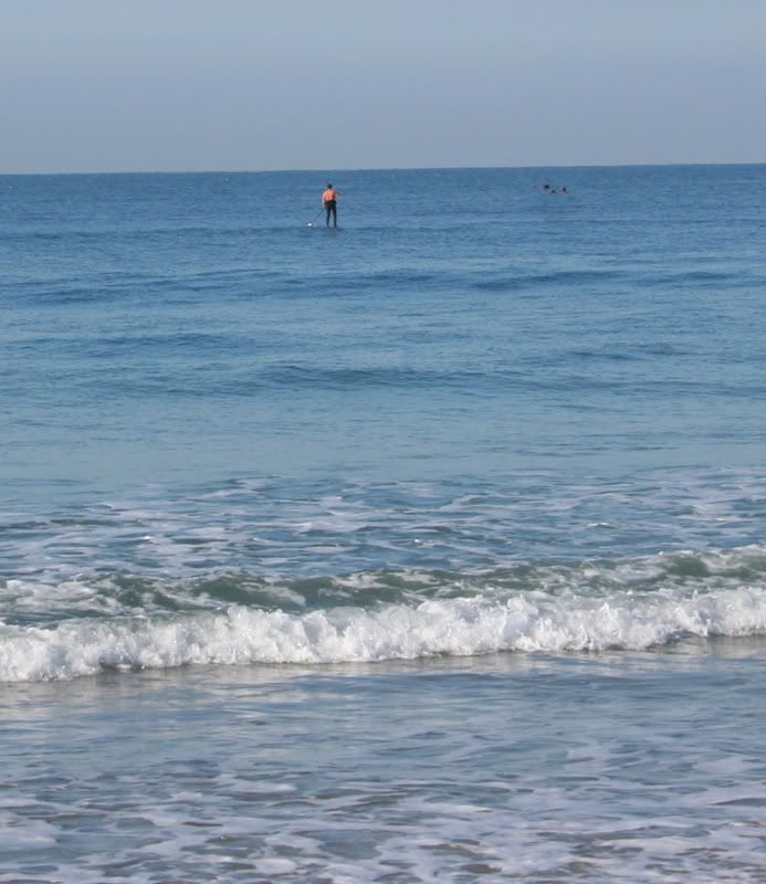 IMAGE: http://i87.photobucket.com/albums/k134/ckvr6/w.jpg