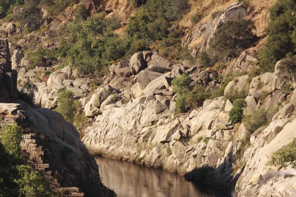 IMAGE: http://i87.photobucket.com/albums/k135/dr_devious/IMG_1686.jpg