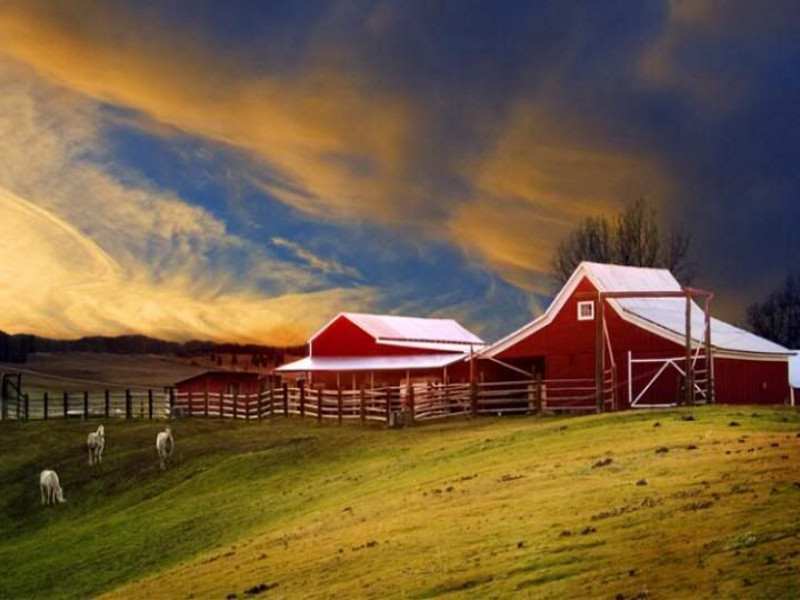 Country Farm Scenes - Mobile Animated Wallpaper