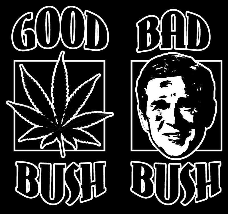 good-bush-bad-close.jpg