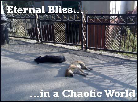 Eternal bliss in a chaotic world