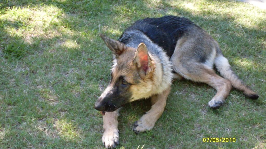 IMAGE: http://i87.photobucket.com/albums/k144/jetta-the-hut/Ava001.jpg