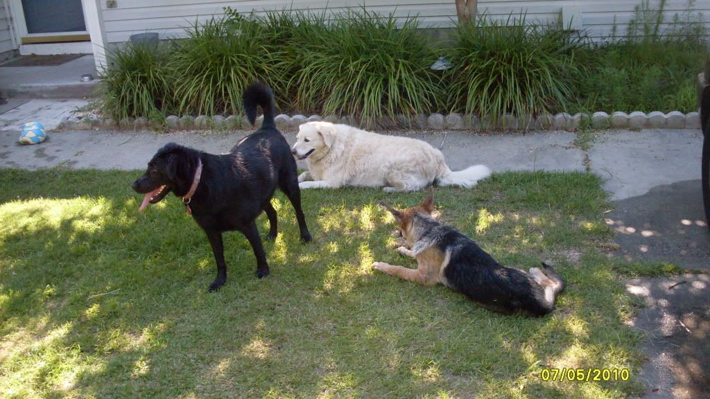 IMAGE: http://i87.photobucket.com/albums/k144/jetta-the-hut/Ava003.jpg