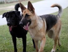 IMAGE: http://i87.photobucket.com/albums/k144/jetta-the-hut/IMG_4666-1-1.jpg