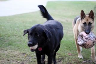 IMAGE: http://i87.photobucket.com/albums/k144/jetta-the-hut/IMG_4671.jpg