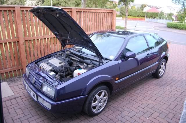 DSC_2616.jpg?t=1300376435