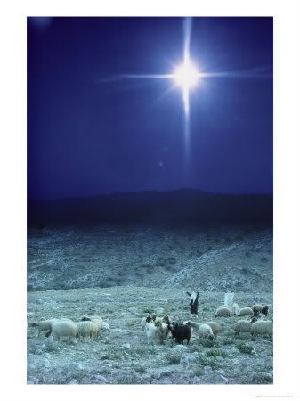 Star over Bethlehem Pictures, Images and Photos