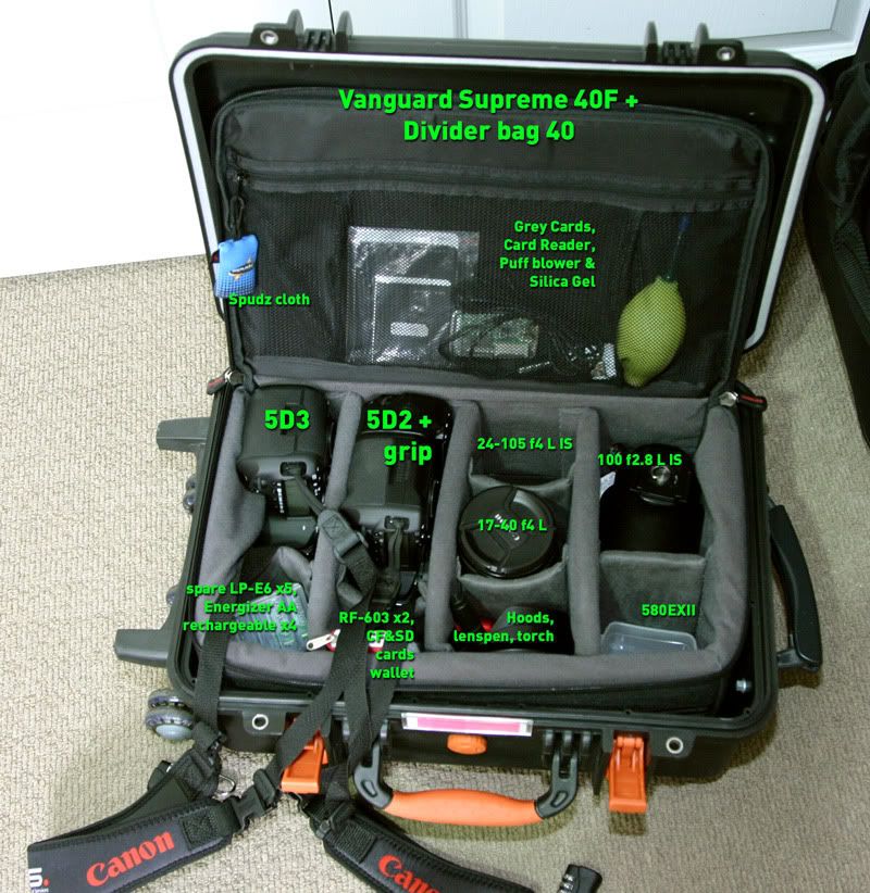 IMAGE: http://i87.photobucket.com/albums/k146/BraMan7/Bryan%20Camera%20Bags/Bag-1.jpg