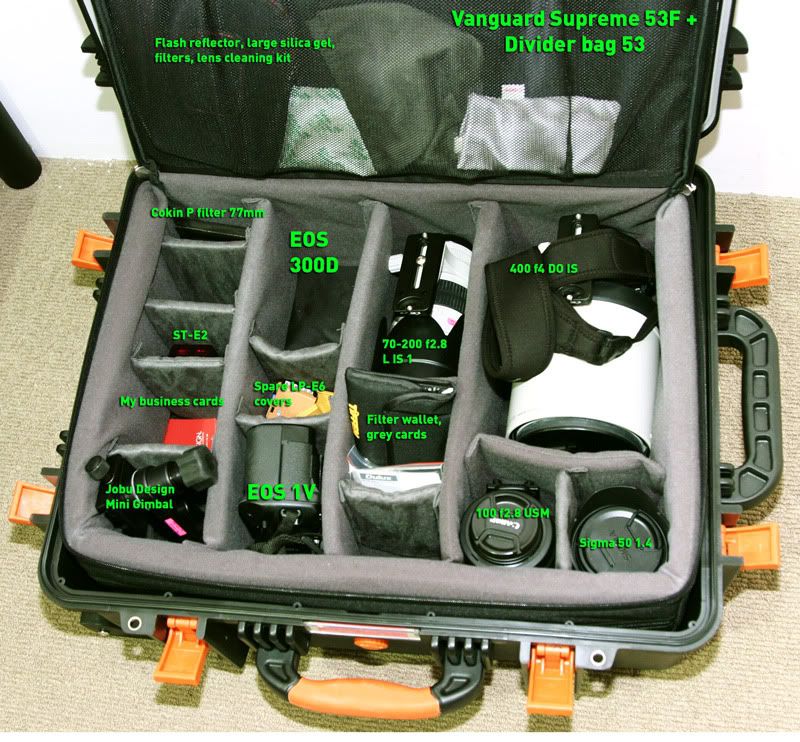 IMAGE: http://i87.photobucket.com/albums/k146/BraMan7/Bryan%20Camera%20Bags/Bag-2.jpg