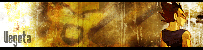 [Image: Vegeta_TurnedAway.gif]