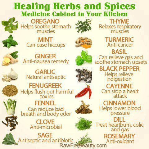 herbs photo: Healing herbs amp spices 1bf8e56fd92808f701d8ea1fd6cdd7ac.jpg