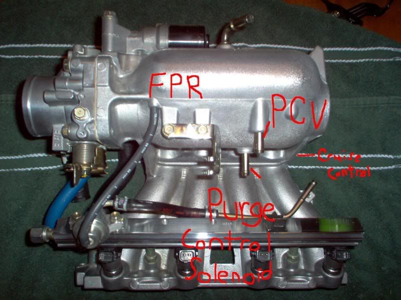 y8 manifold hose help Honda D Series Forum