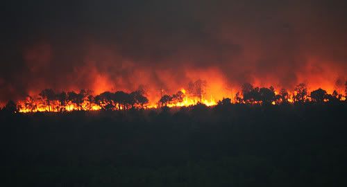 Palm Bay,Florida  wild fires Pictures, Images and Photos