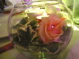 Rose in Water