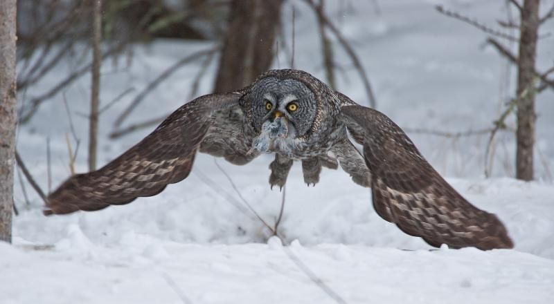 IMAGE: http://i87.photobucket.com/albums/k155/jrquist/PresentforMyBabe_zps0f06f7e3.jpg