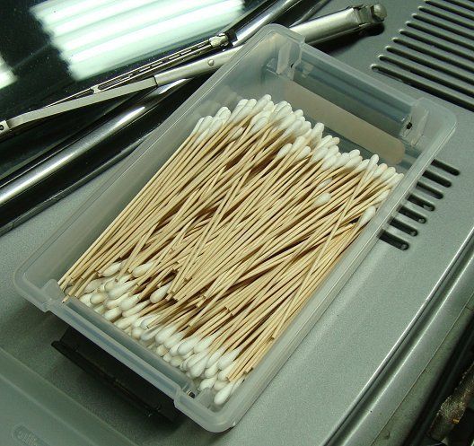 QTips01.jpg