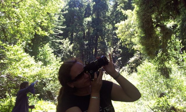 Día 4 SFO .- Golden Gate, Sequoias y a comer a Sausalito - Lejano Oeste... (23)