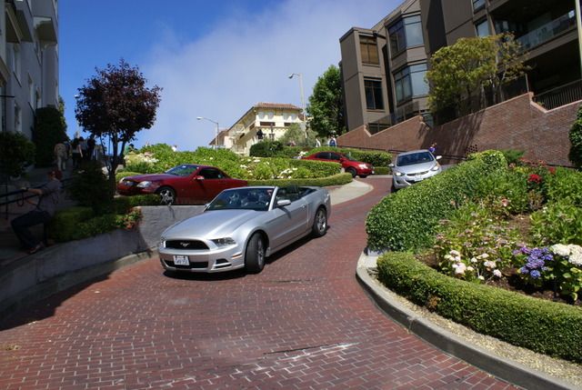 Día 4 SFO .- Golden Gate, Sequoias y a comer a Sausalito - Lejano Oeste... (5)