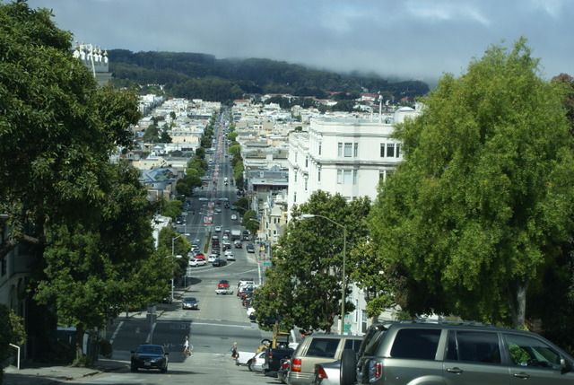 Día 4 SFO .- Golden Gate, Sequoias y a comer a Sausalito - Lejano Oeste... (6)