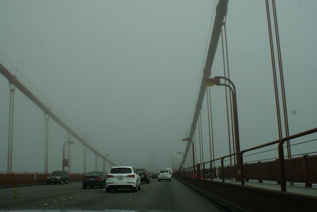 Día 4 SFO .- Golden Gate, Sequoias y a comer a Sausalito - Lejano Oeste... (9)