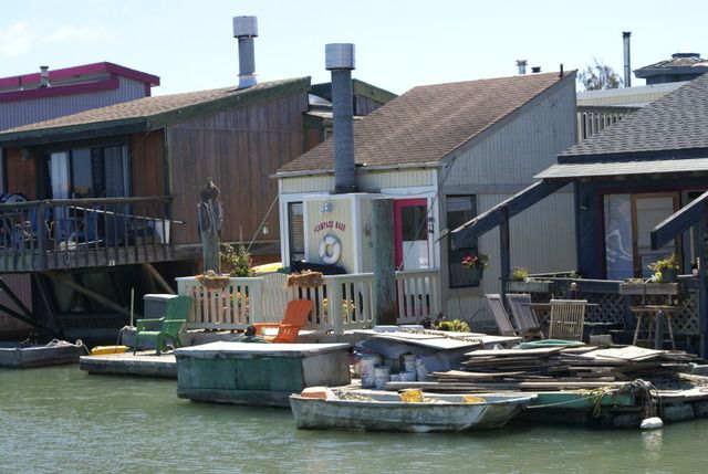 Día 4 SFO .- Golden Gate, Sequoias y a comer a Sausalito - Lejano Oeste... (14)