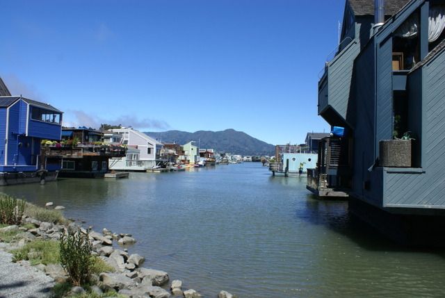 Día 4 SFO .- Golden Gate, Sequoias y a comer a Sausalito - Lejano Oeste... (18)