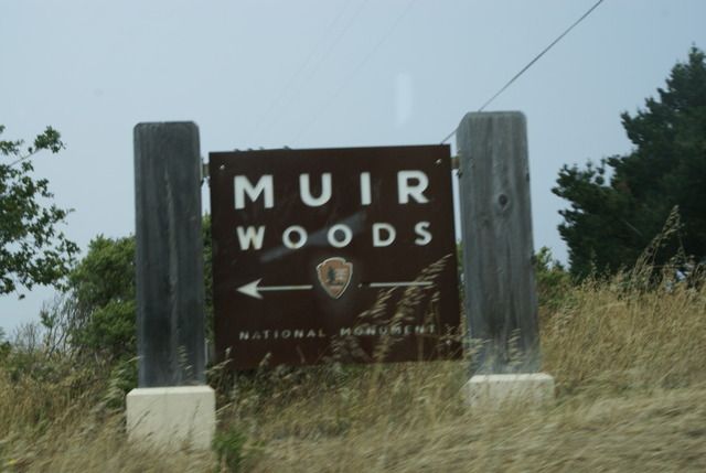 Día 4 SFO .- Golden Gate, Sequoias y a comer a Sausalito - Lejano Oeste... (19)