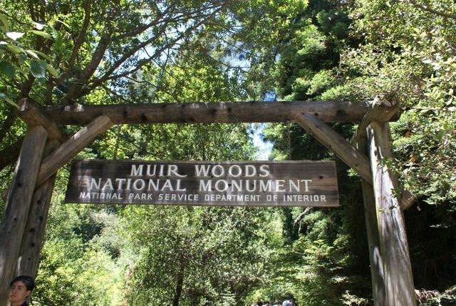 Día 4 SFO .- Golden Gate, Sequoias y a comer a Sausalito - Lejano Oeste... (20)