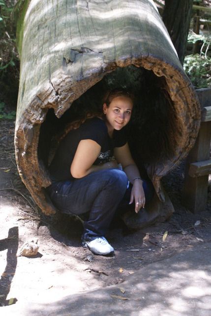 Día 4 SFO .- Golden Gate, Sequoias y a comer a Sausalito - Lejano Oeste... (25)