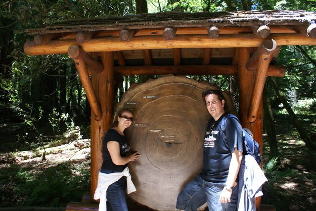 Día 4 SFO .- Golden Gate, Sequoias y a comer a Sausalito - Lejano Oeste... (26)