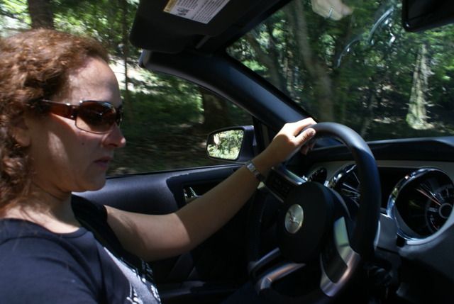 Día 4 SFO .- Golden Gate, Sequoias y a comer a Sausalito - Lejano Oeste... (27)