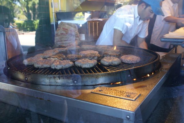 Día 4 SFO .- Golden Gate, Sequoias y a comer a Sausalito - Lejano Oeste... (31)