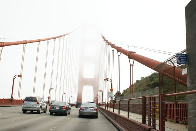 Día 4 SFO .- Golden Gate, Sequoias y a comer a Sausalito - Lejano Oeste... (34)