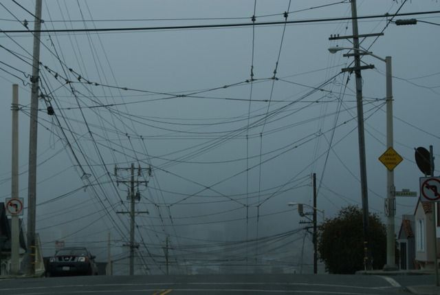 Día 4 SFO .- Golden Gate, Sequoias y a comer a Sausalito - Lejano Oeste... (40)