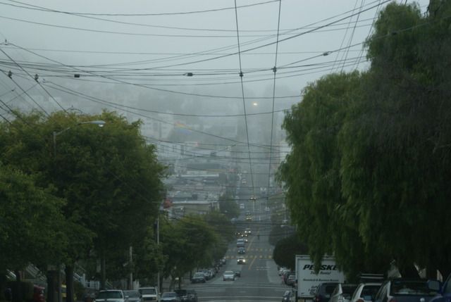 Día 4 SFO .- Golden Gate, Sequoias y a comer a Sausalito - Lejano Oeste... (41)