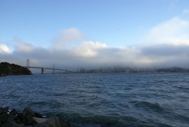 Día 4 SFO .- Golden Gate, Sequoias y a comer a Sausalito - Lejano Oeste... (46)