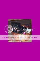 Photobucket - Video and Image Hosting