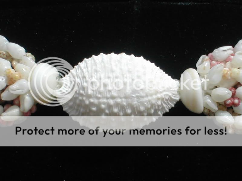 RARE 100% NIIHAU SHELL 5 STRAND 5 COLOR 41.75 HELECONIA LEI  