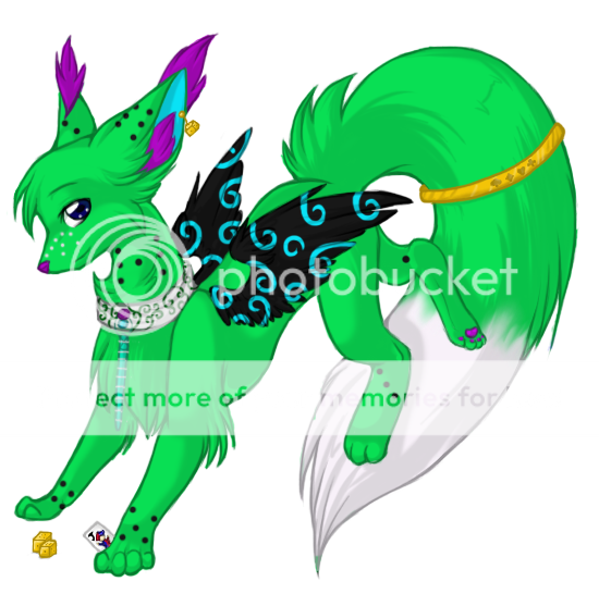 User Image